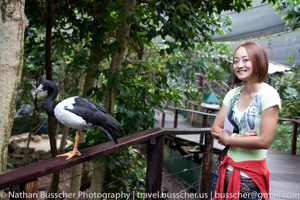 Out and About - Port Douglas