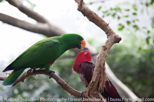 Out and About - Port Douglas