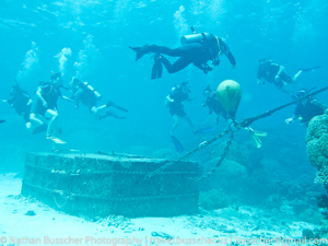 Poseidon Cruises