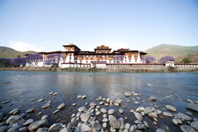 20090504-IMG_5077.CR2