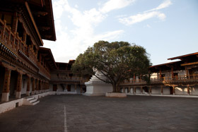 20090504-IMG_5196.CR2