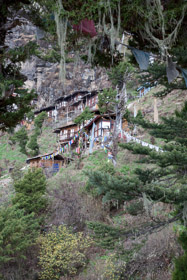20090507-IMG_6436.CR2