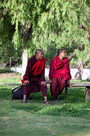 20090507-IMG_6935.CR2