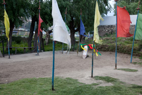 20090508-IMG_7859.CR2