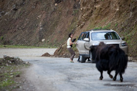 20090505-IMG_5710.CR2