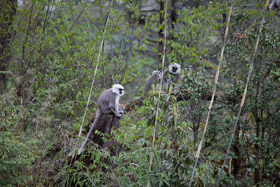 20090505-IMG_5728.CR2