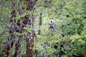 20090505-IMG_5834.CR2