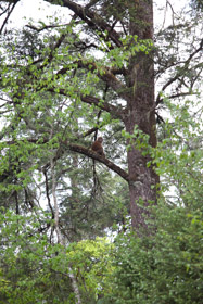 20090505-IMG_5854.CR2