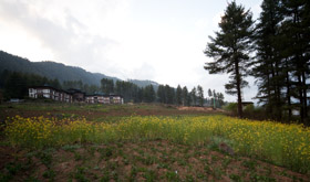 20090505-IMG_5949.CR2