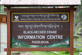 20090506-IMG_6179.CR2