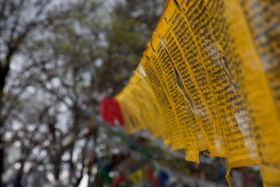 20090504-IMG_4692.CR2