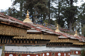 20090504-IMG_4726.CR2