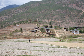 20090504-IMG_4893.CR2