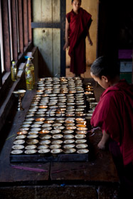 20090504-IMG_4973.CR2