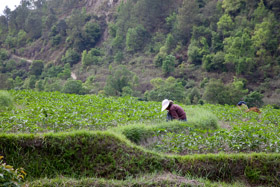 20090505-IMG_5328.CR2