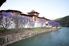 20090504-IMG_5099.CR2