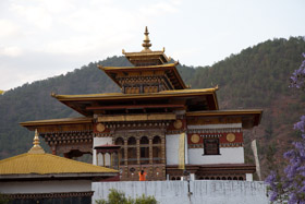 20090504-IMG_5201.CR2