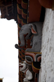 20090503-IMG_4169.CR2