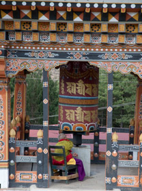 20090506-IMG_6247.CR2