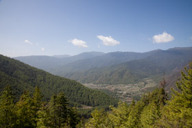 20090508-IMG_7237.CR2