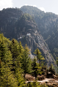 20090508-IMG_7239.CR2