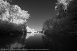 Infrared Photos