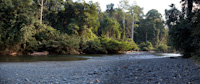 Borneo Holiday - 2010