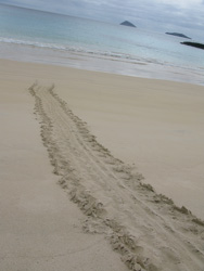 20081013-IMG_1911.JPG