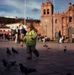 20081027----_0060.jpg