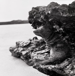 20081028----_0029.jpg