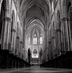 20081028----_0110.jpg