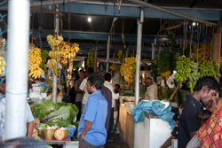 Maldives - Male