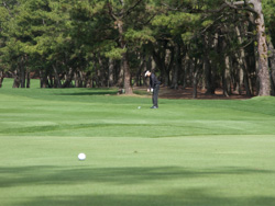 20090307-IMG_3484.CR2
