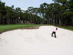 20090307-IMG_3502.CR2