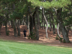 Miyazaki Golf Trip