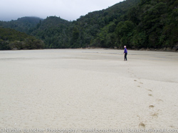 Abel Tasman - kayak and hike
