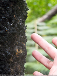 Abel Tasman - kayak and hike