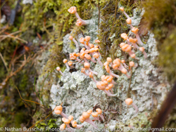 Abel Tasman - kayak and hike