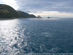 Dolphin Swim and Whale Watching