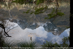Fiordland and MIllford Sound - in and around