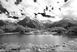 Fiordland and MIllford Sound - in and around