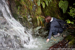 Fiordland and MIllford Sound - in and around