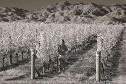 New Zealand in Infrared