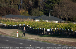 Picton - in and around