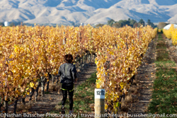 Picton - in and around