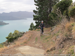 Mountain Biking the Queen Charlotte Track