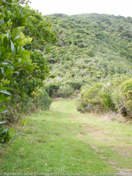 Mountain Biking the Queen Charlotte Track