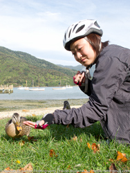 Mountain Biking the Queen Charlotte Track