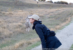 Sheep, Sheep and more Sheep