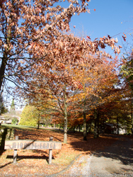 Wanaka and Queenstown - in and around